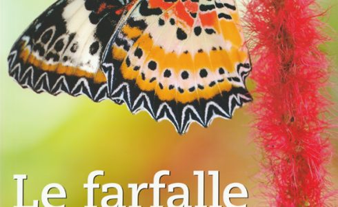 Recensione: Le farfalle della campagna. Osservarle e riconoscerle nel loro ambiente