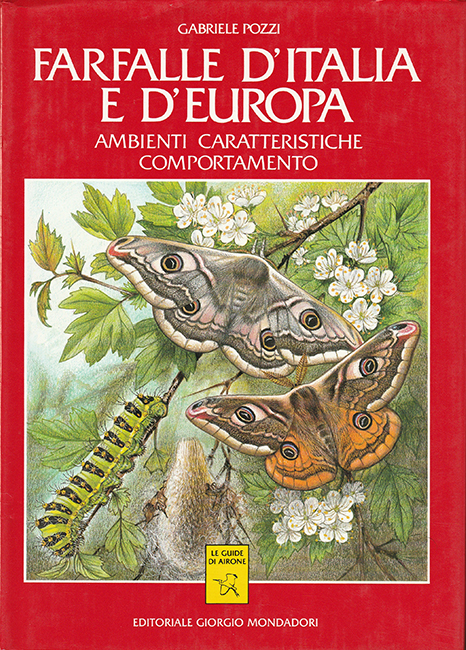 Guida delle farfalle d'Europa e Nord Africa