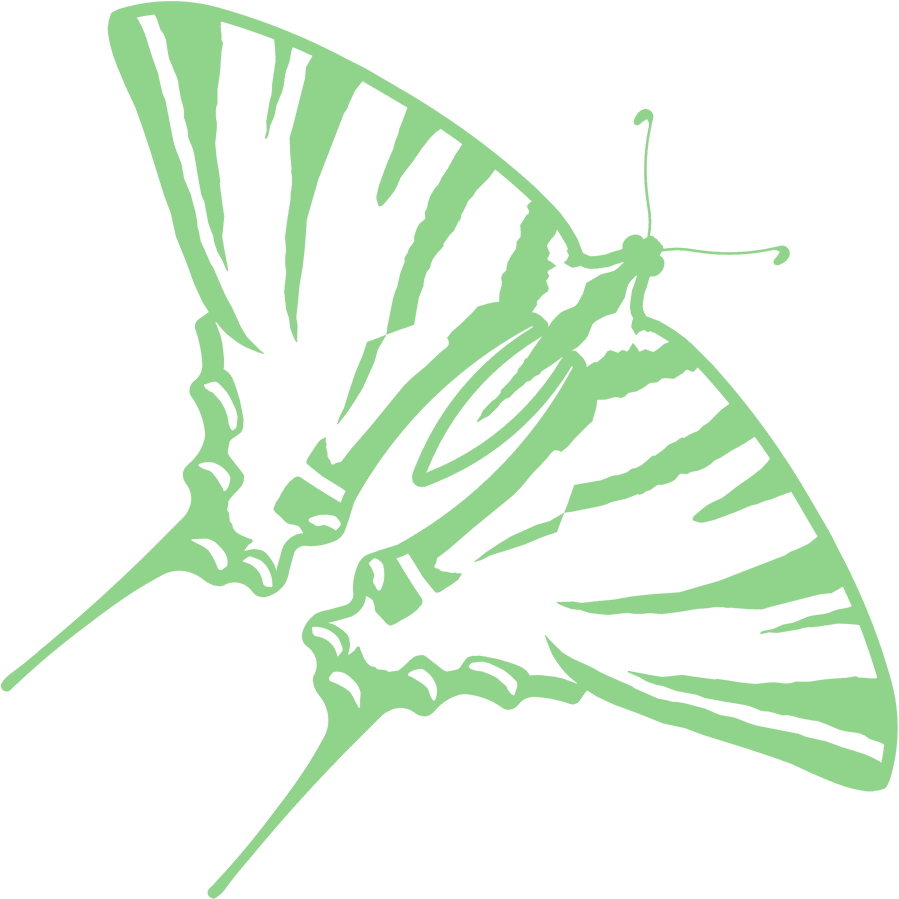 Covid-19, il pensiero di un lepidotterologo