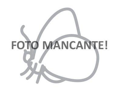 Papilionea_missing-photo