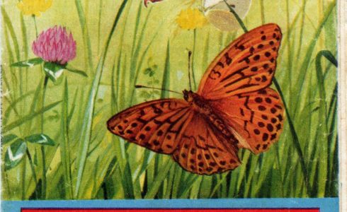 I minilibri del Corriere dei Piccoli: Le farfalle (1965)