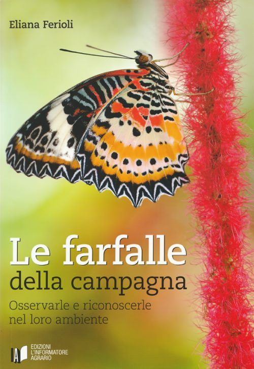 Le farfalle della campagna, copertina.